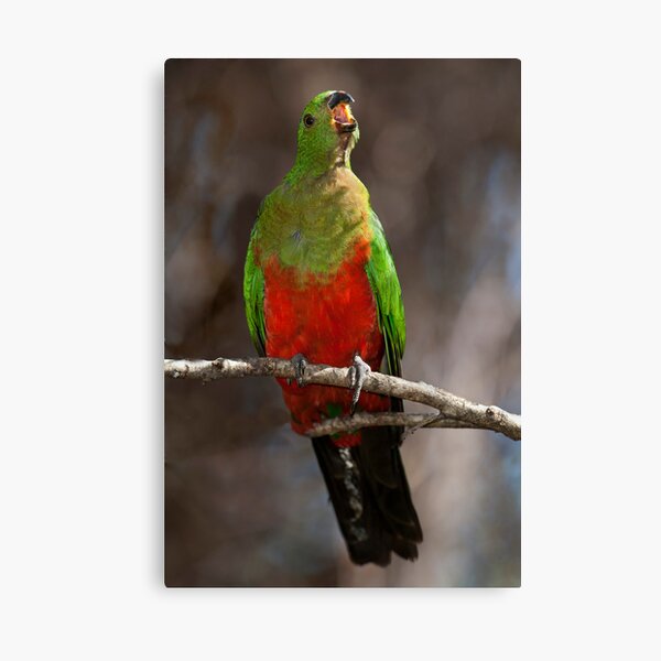 SAY "CHEESE" Canvas Print