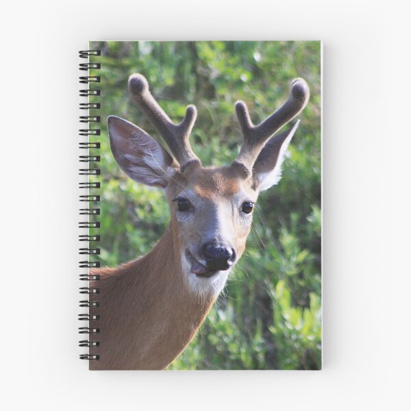 Item preview, Funny Face designed and sold by Alyce Taylor.