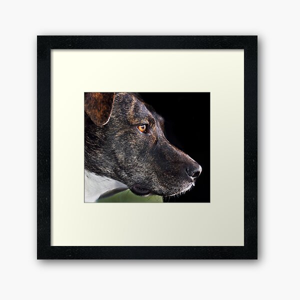 With the 999 plan how many bones can I save? Framed Art Print