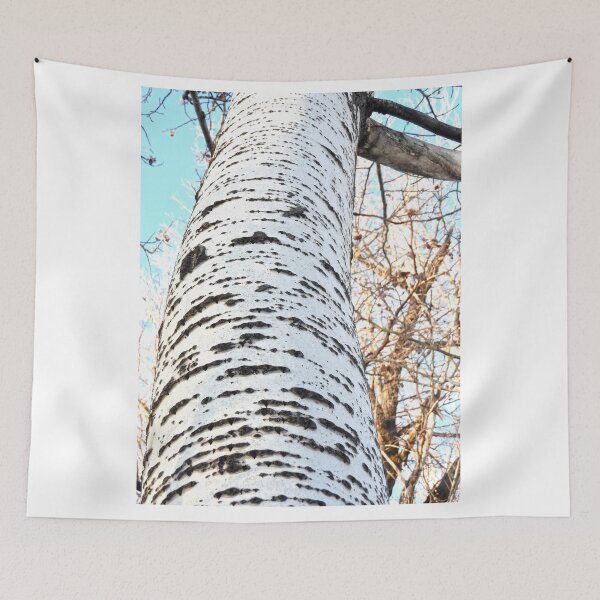 Item preview, Cottonwood, white quaking aspen, zebra, tree pattern  designed and sold by Stephanie  Skeem.