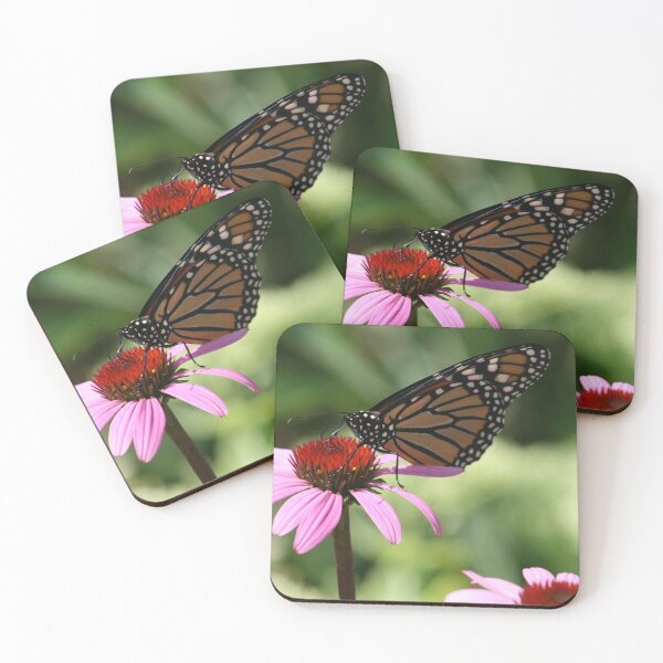 Item preview, Monarch Butterfly Landing On A Purple Cone Flower designed and sold by kkphoto1.