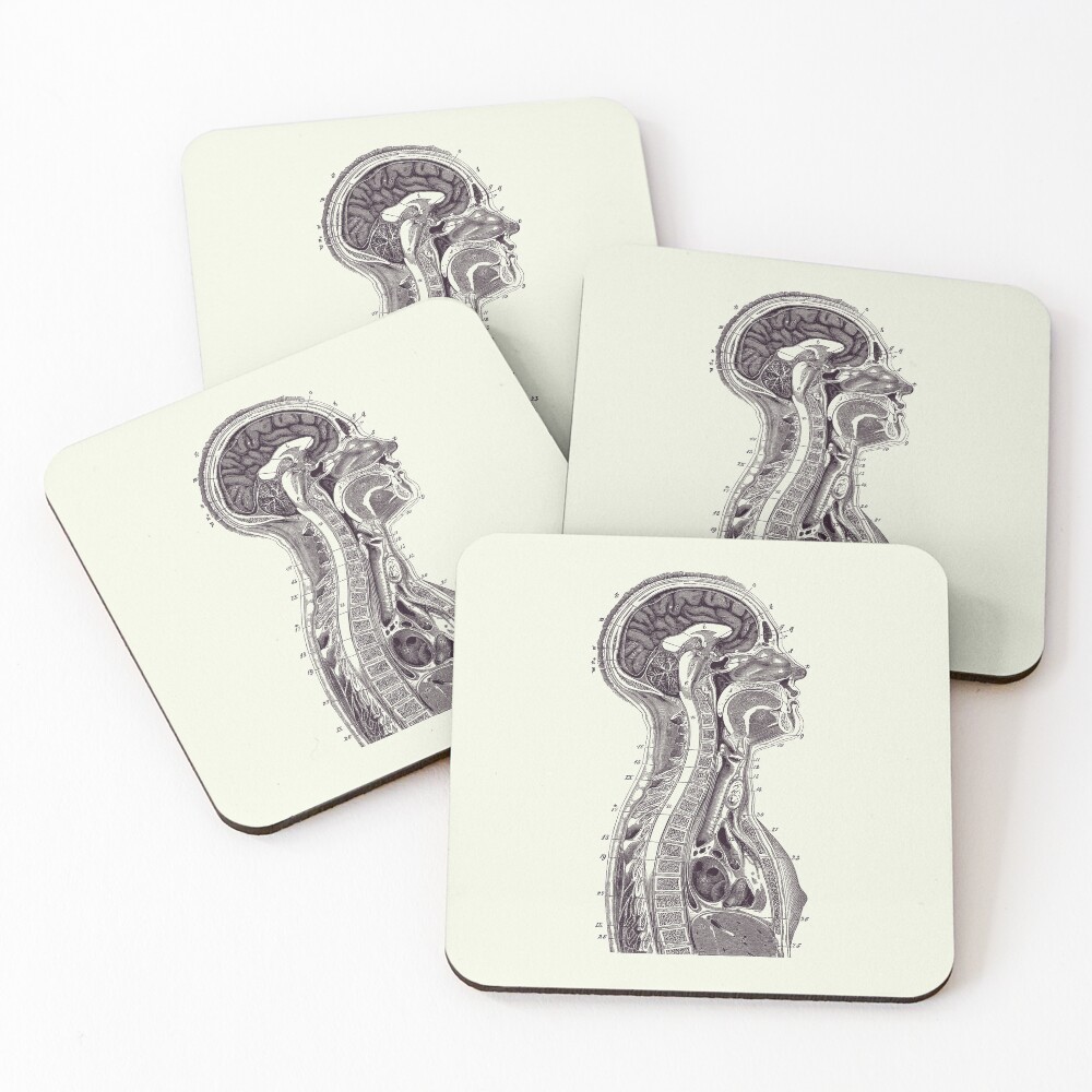 Upper Body Diagram - Vintage Anatomy Print 2 Coasters (Set of 4)