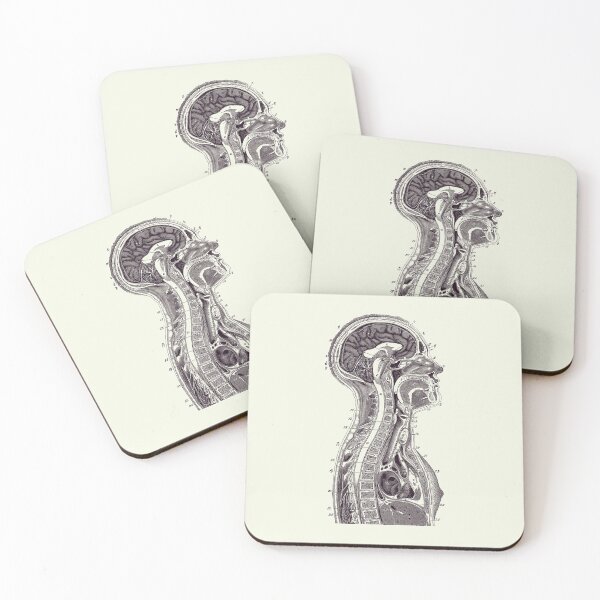 Upper Body Diagram - Vintage Anatomy Print 2 Coasters (Set of 4)