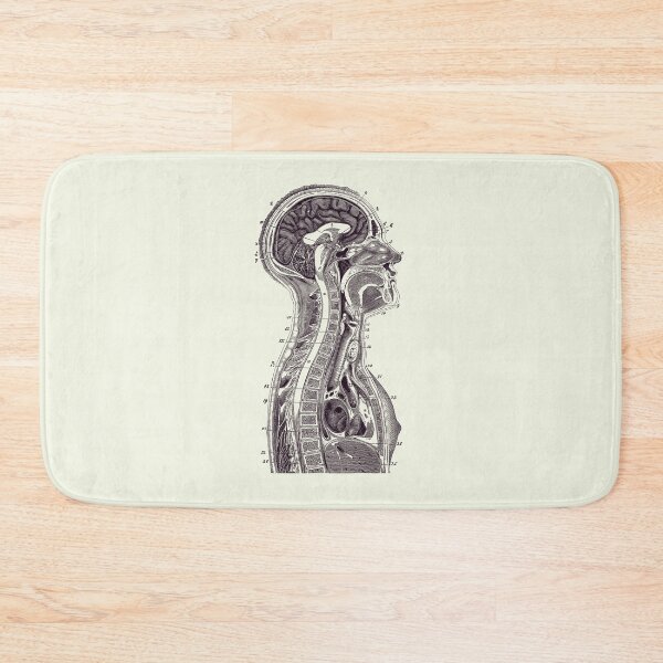 Item preview, Upper Body Diagram - Vintage Anatomy Print 2 designed and sold by VAposters.