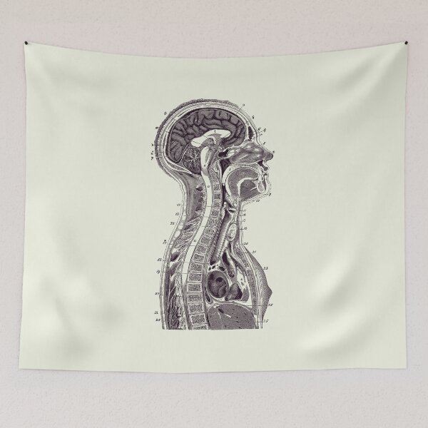 Item preview, Upper Body Diagram - Vintage Anatomy Print 2 designed and sold by VAposters.