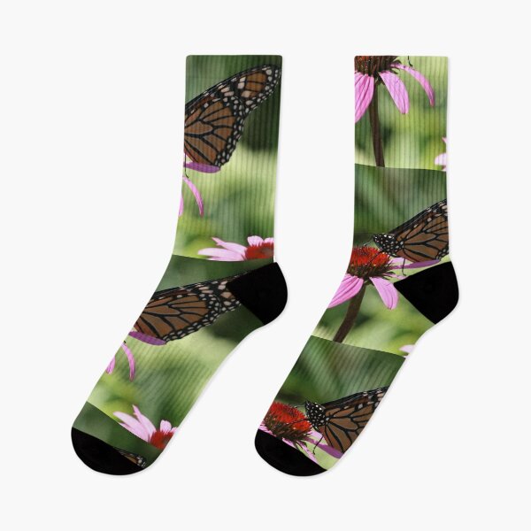 Item preview, Monarch Butterfly Landing On A Purple Cone Flower designed and sold by kkphoto1.