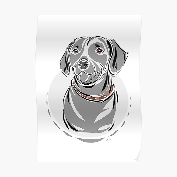 Rhodesian Ridgeback Poster
