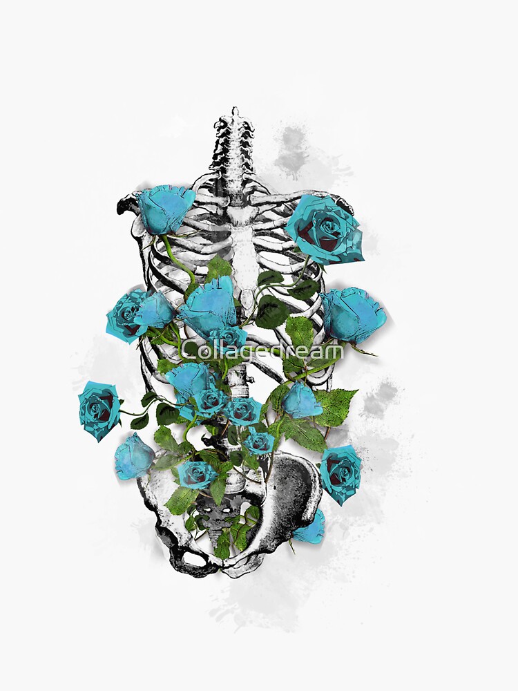 Rib Cage Anatomy Ribcage Skeleton Light Blue Roses Sticker For Sale By Collagedream Redbubble