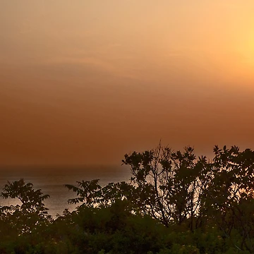 Artwork thumbnail, Setting Sun by Ruth Curtis