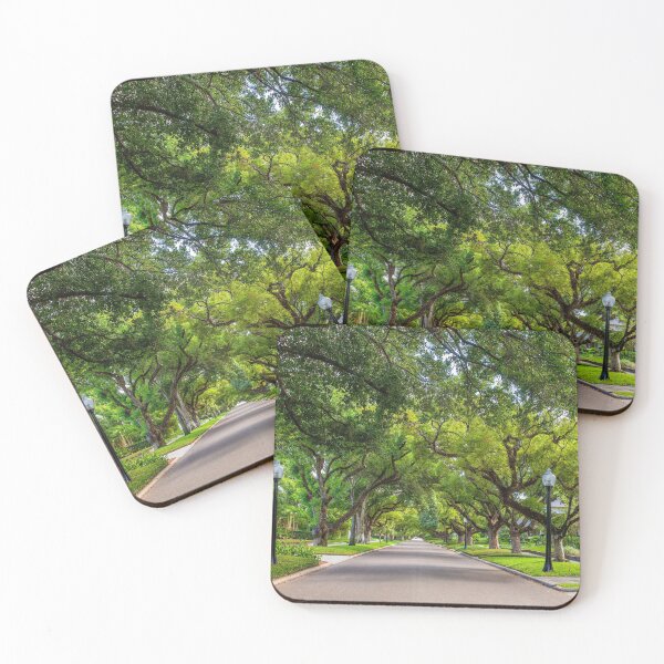 Item preview, USA Oak lined street designed and sold by SpikeFlutie.