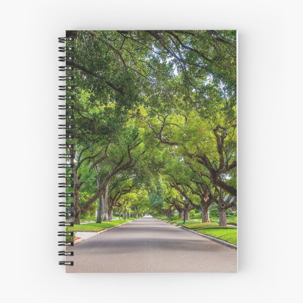 Item preview, USA Oak lined street designed and sold by SpikeFlutie.