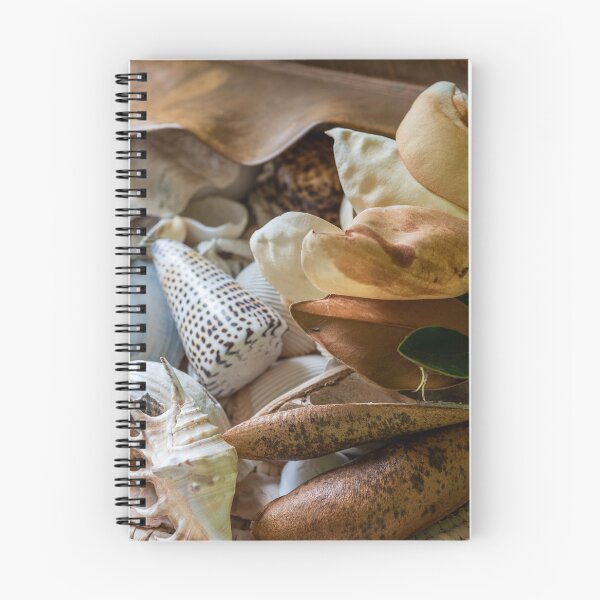 Item preview, sea shells and nature with textures designed and sold by justine Gordon.