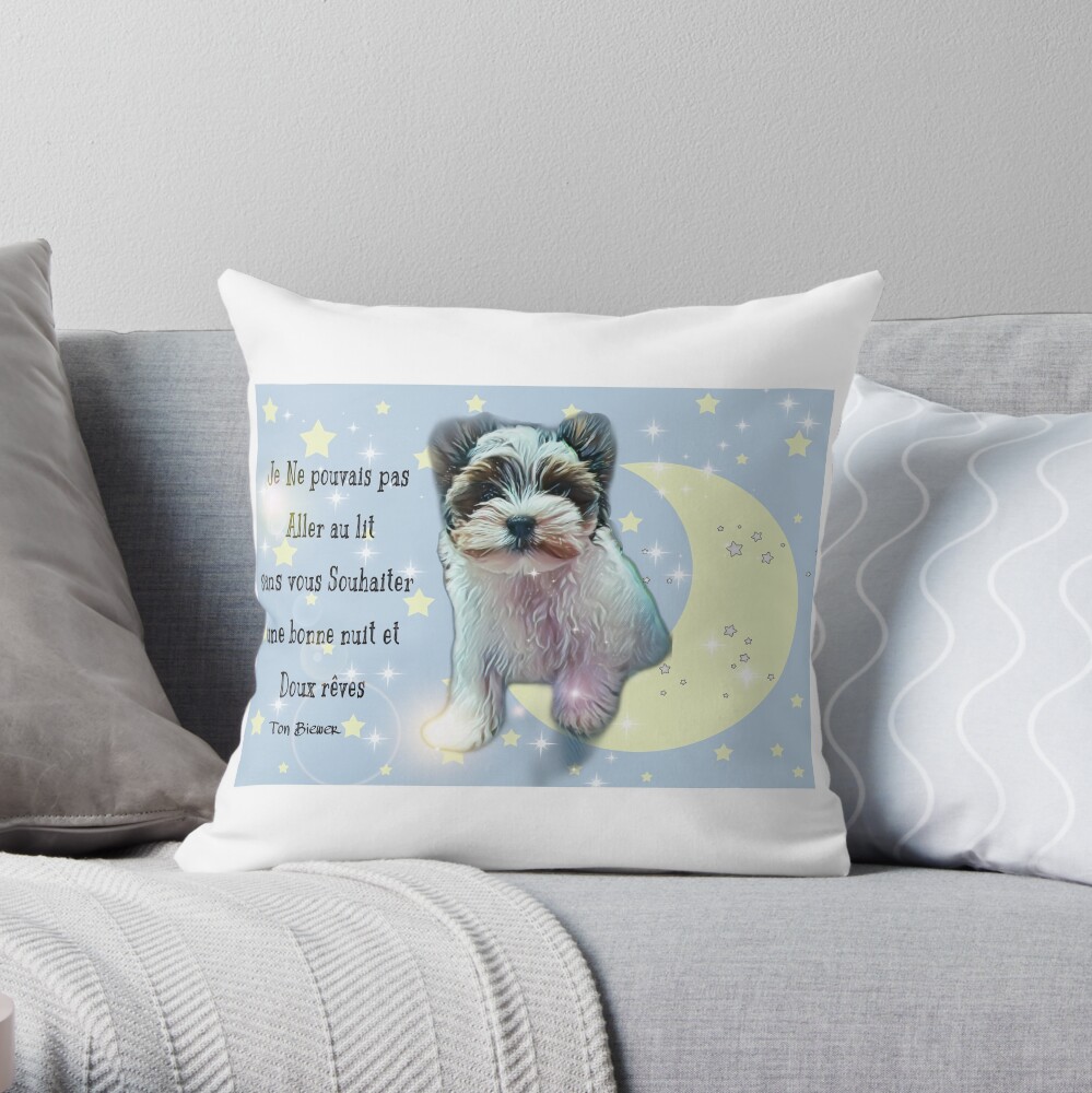 Coussin « Biewer»