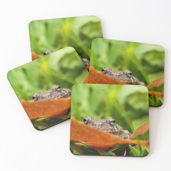 Item preview, Gray Tree Frog designed and sold by HectorCantres.