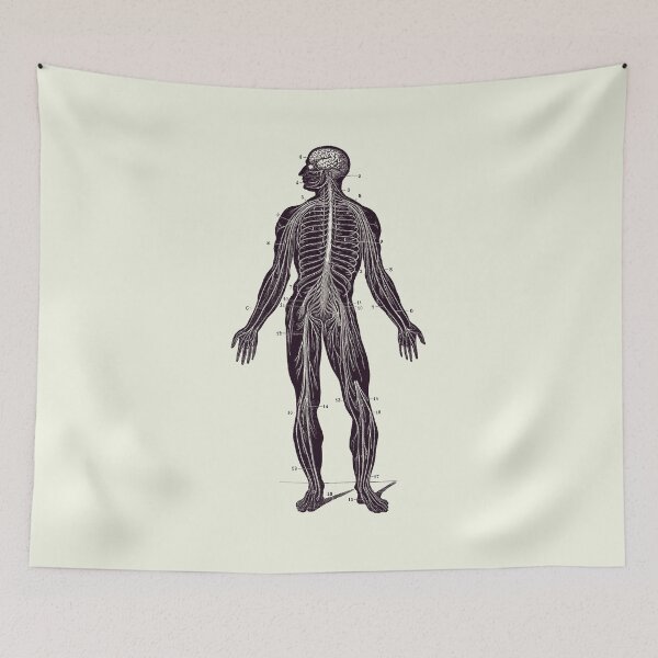 Item preview, Human Lymphatic System - Vintage Anatomy Poster 2 designed and sold by VAposters.