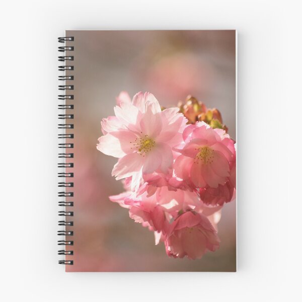 Item preview, Digital photograph, sunlit spring Cherry blossom designed and sold by SimonJohnson1.