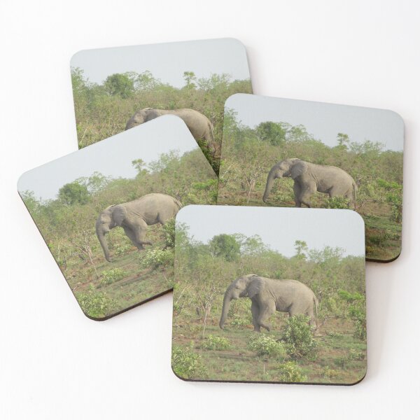 Item preview, Wild lonesome elephant having lost its tusks designed and sold by StephanieCAD.