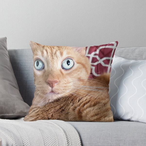 Item preview, Frankie designed and sold by Frankie Cat Photography.