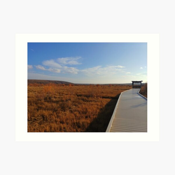 Bird Blind Boardwalk Art Print