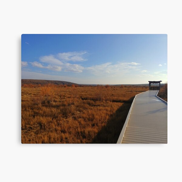 Bird Blind Boardwalk Canvas Print