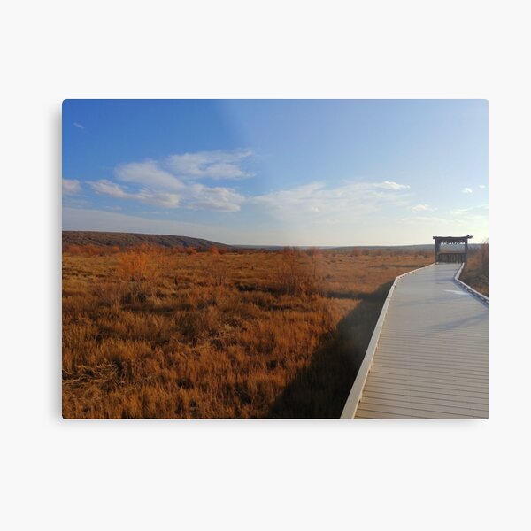 Bird Blind Boardwalk Metal Print
