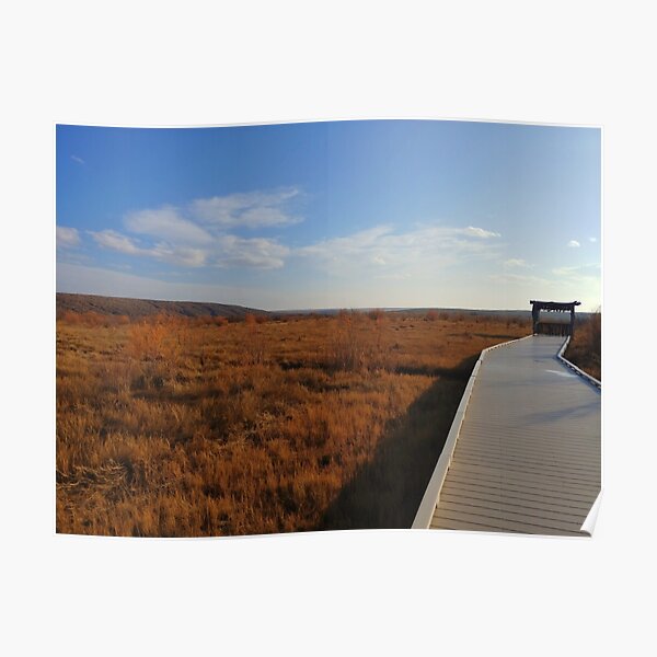 Bird Blind Boardwalk Poster