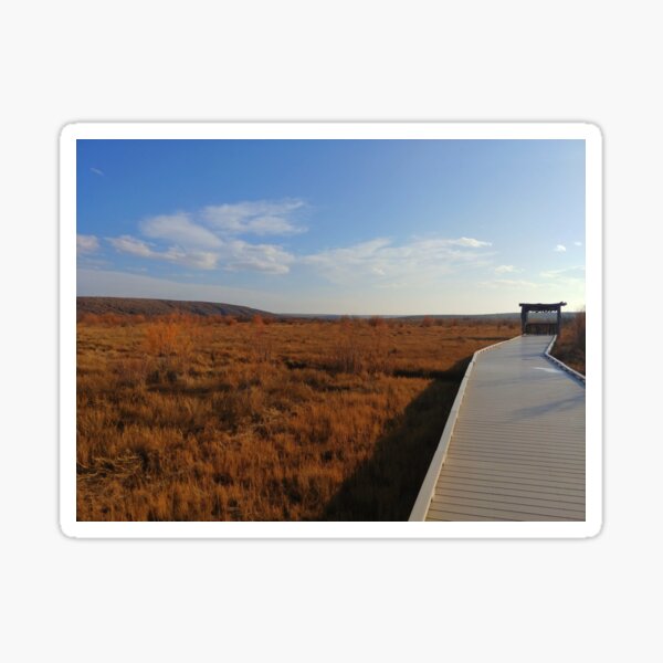 Bird Blind Boardwalk Sticker