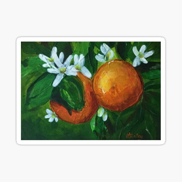 Orange Blossoms Acrylic Painting Sticker
