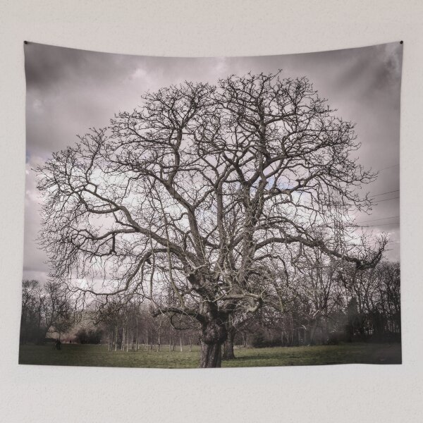 Item preview, Stone Tree? designed and sold by Olympia Ellinas.