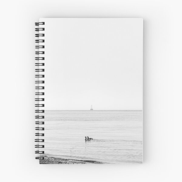 Item preview, Aves acuáticas y una boya designed and sold by ShootFirstNYC.