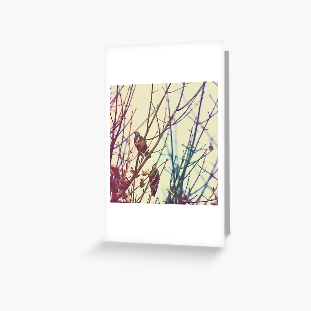 Item preview, Greeting Card designed and sold by petegrev.
