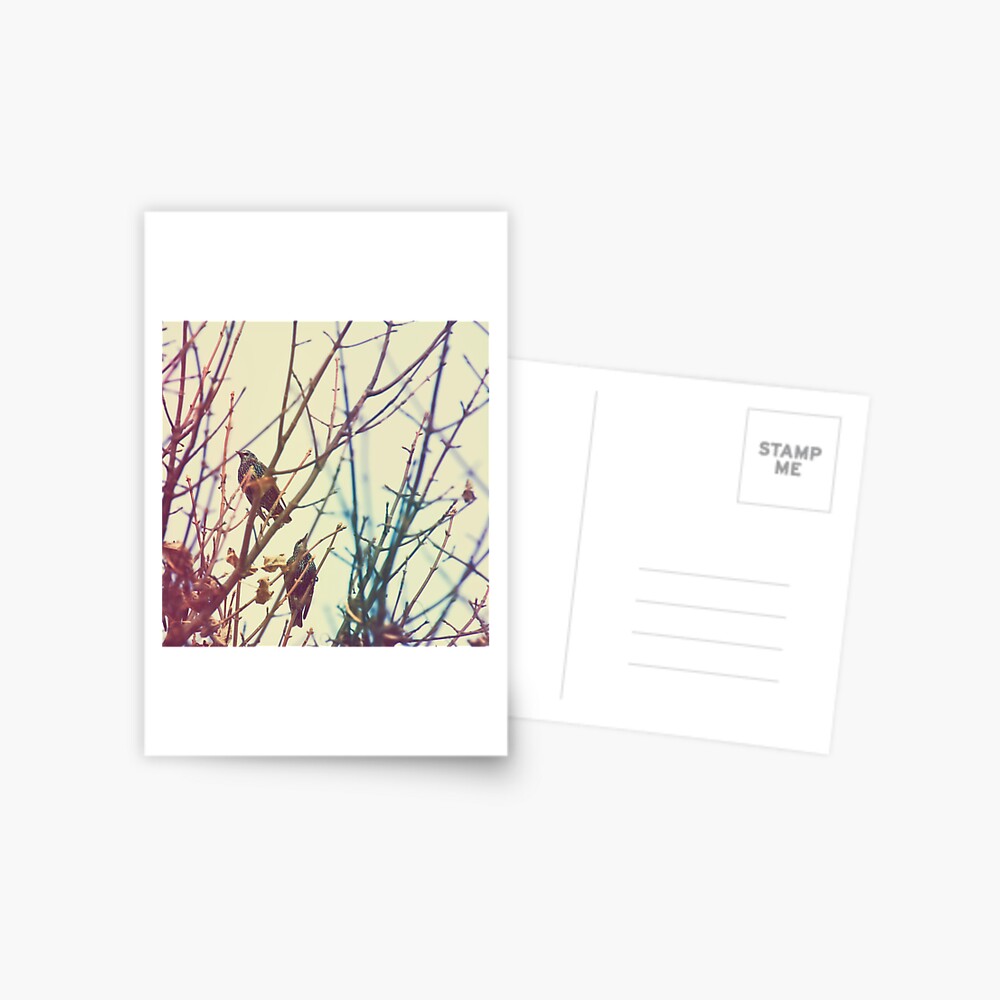 Item preview, Postcard designed and sold by petegrev.