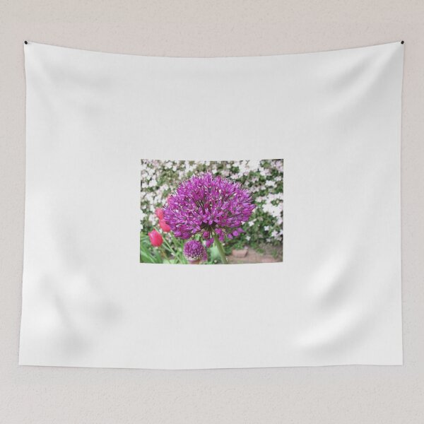 Item preview, Purple Sensation - Ornamental Onion designed and sold by BlueMoonRose.