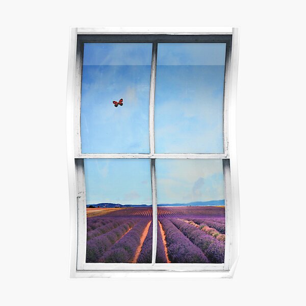 Window Art 4 - Lavender Field Poster
