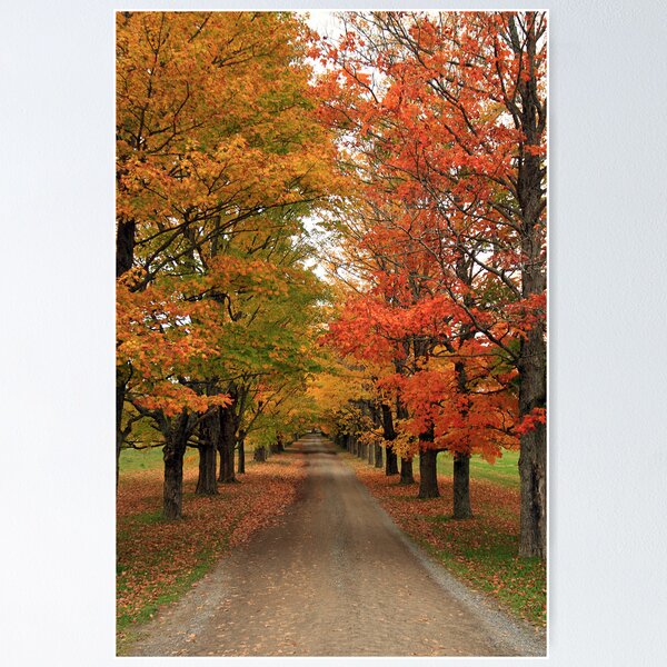 Item preview, Fall Wonderland I designed and sold by Debbie  Roberts.