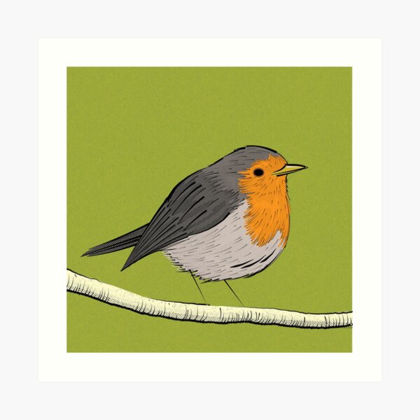 Robin Art Print