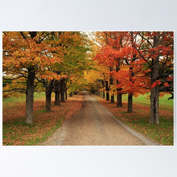 Item preview, Autumn Wonderland II designed and sold by Debbie  Roberts.