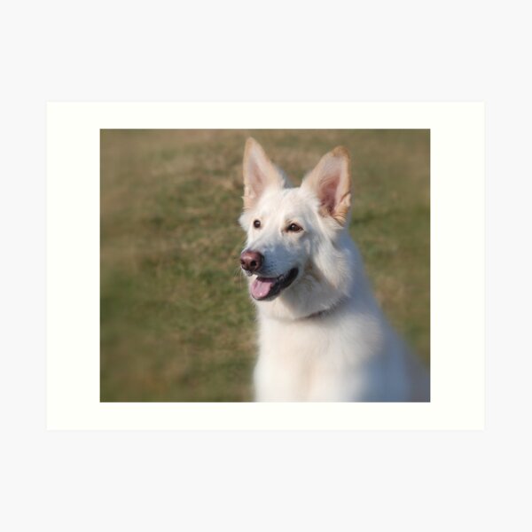 Whiter Shade of Pale Art Print