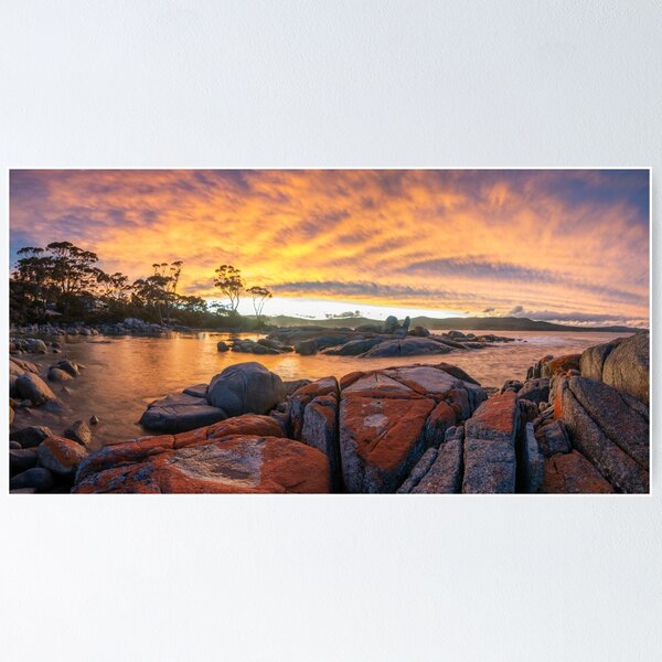 Item preview, Bay of Fires Sunset Panorama designed and sold by Adrian Alford Photography.