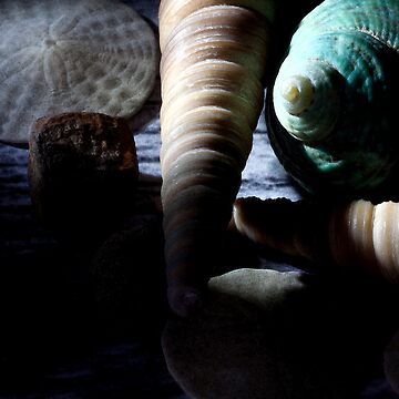 Artwork thumbnail, Timeless II by BillReid