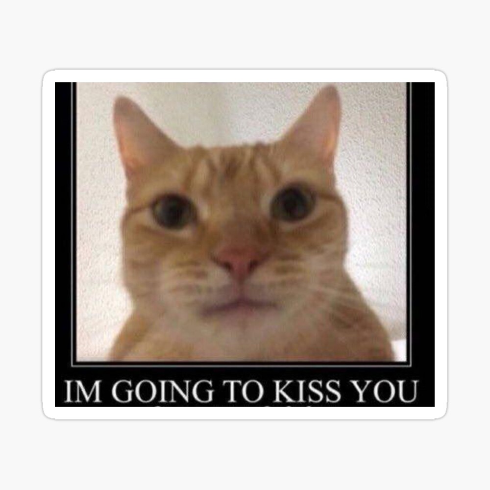 I Am Going To Kiss You Cat Poster By Conspiracy0 Redbubble