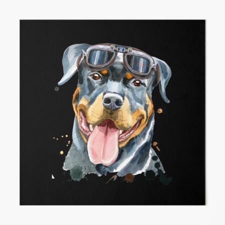 Cute Rottweiler with steampunk glasses