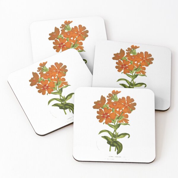 Item preview, Plant Study, illustration designed and sold by yourlocalltyler.