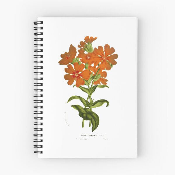 Item preview, Plant Study, illustration designed and sold by yourlocalltyler.
