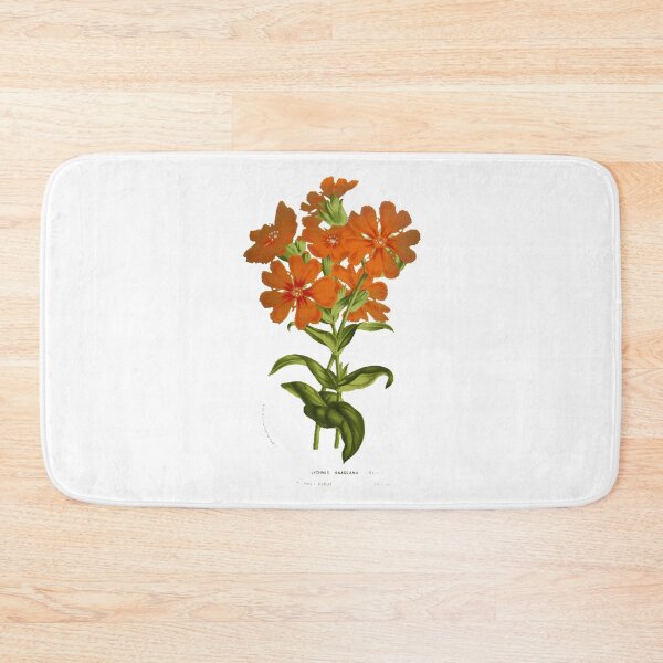 Item preview, Plant Study, illustration designed and sold by yourlocalltyler.