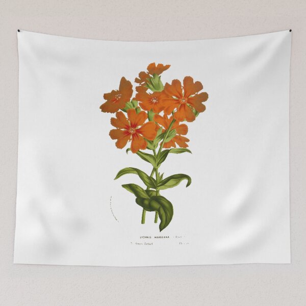 Item preview, Plant Study, illustration designed and sold by yourlocalltyler.