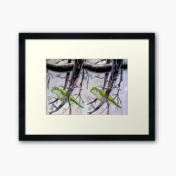 Stereogram challenge of Lorenzo the parakeet, Ibiza Framed Art Print