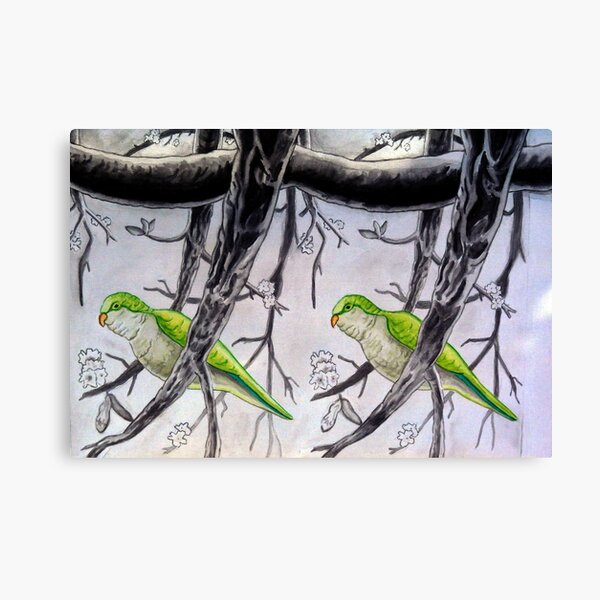 Stereogram challenge of Lorenzo the parakeet, Ibiza Canvas Print