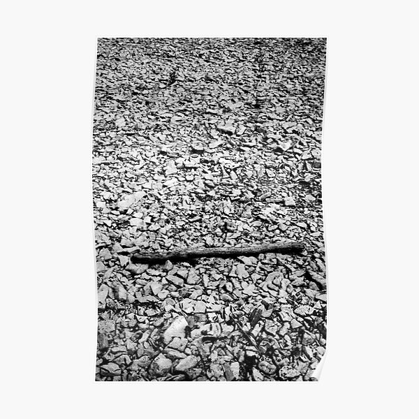 Drift wood and river bed Poster