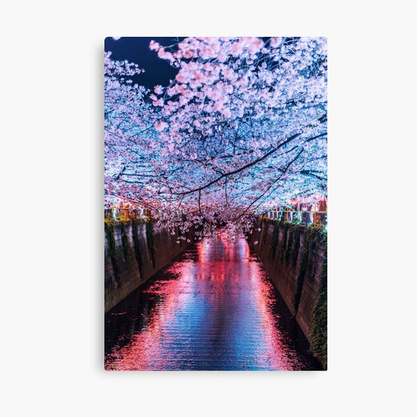 Tokyo - Meguro - Sous les cerisiers coule une rivière Impression sur toile